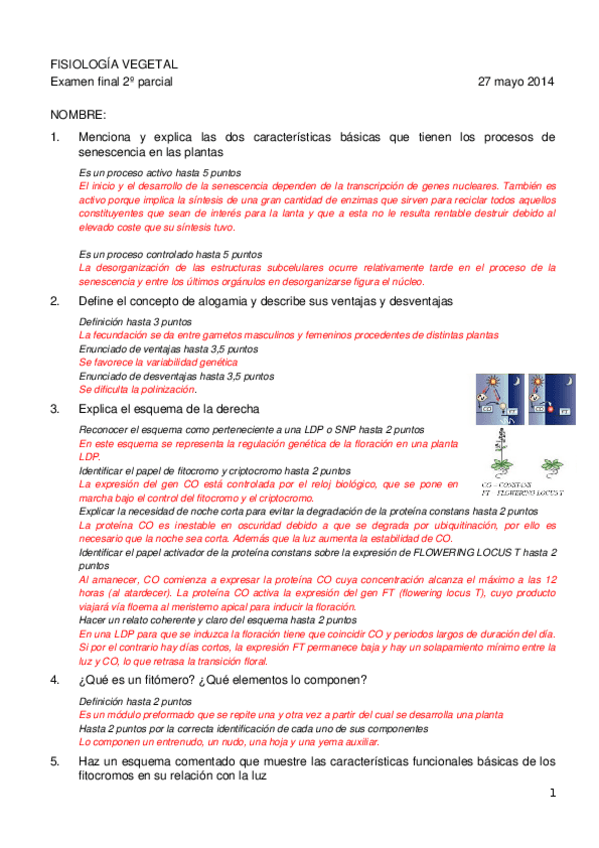 Miniatura del documento Plantilla-correccion-final-27-mayo-2014.docx