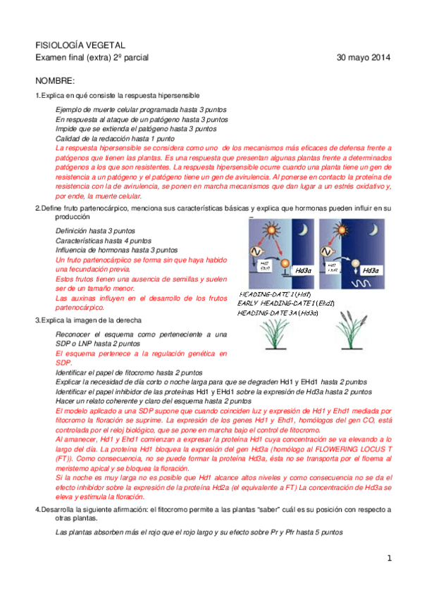 Miniatura del documento Plantilla-correccion-final-extra-30-mayo-2014.docx
