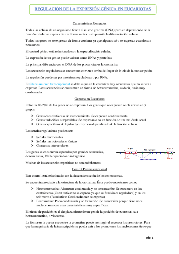 Miniatura del documento REGULACION-DE-LA-EXPRESION-GENICA-EN-EUCARIOTAS.pdf