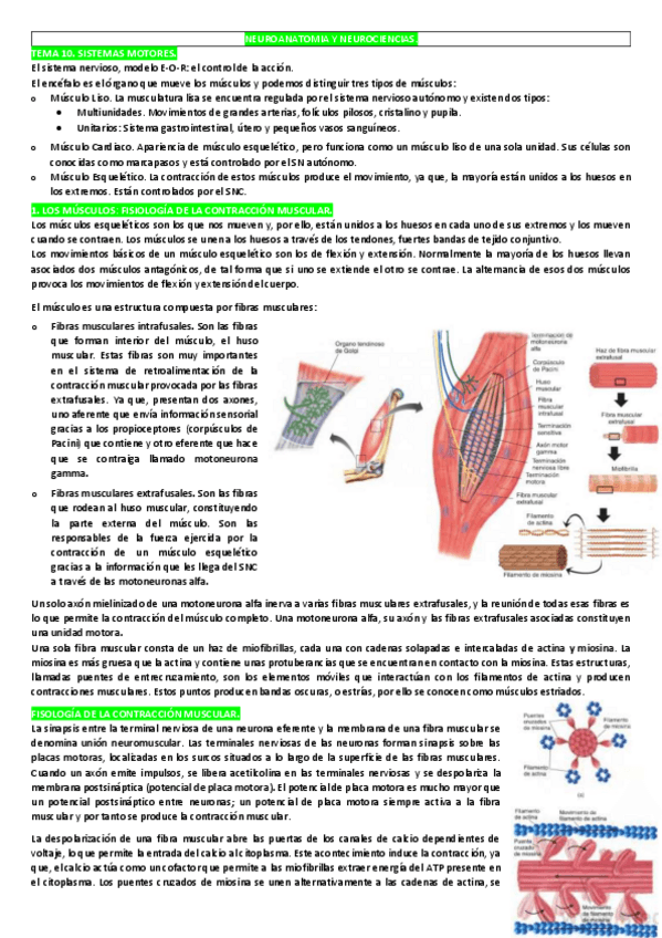 Miniatura del documento TEMA-10.pdf