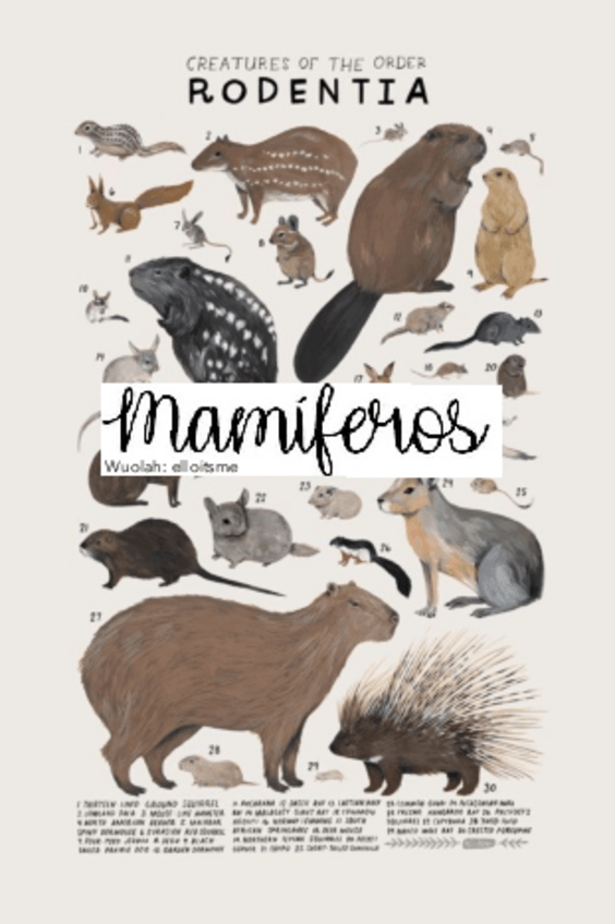 Miniatura del documento Diario-de-practicas-V-Mamiferos.pdf