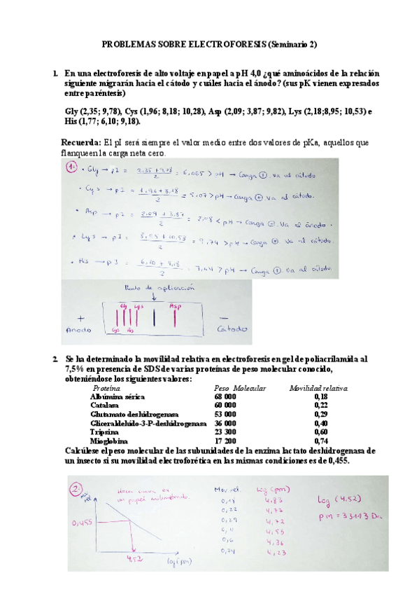 Miniatura del documento Seminario-2-Metodos-de-bioquimica.pdf