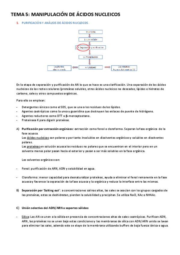 Miniatura del documento TEMAS-CONCEPCION-AGUILERA.pdf