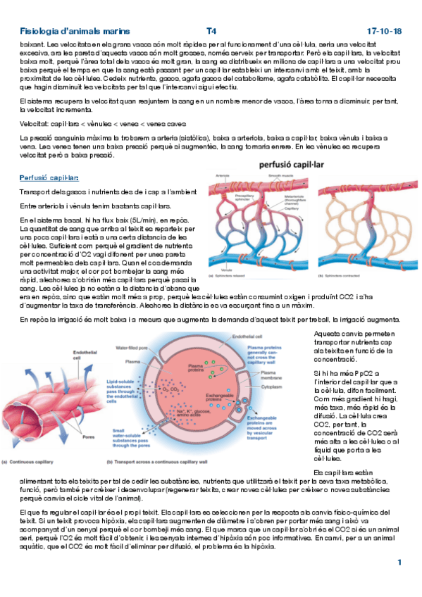 Miniatura del documento Fisio-Tema-4-Parte-3.pdf