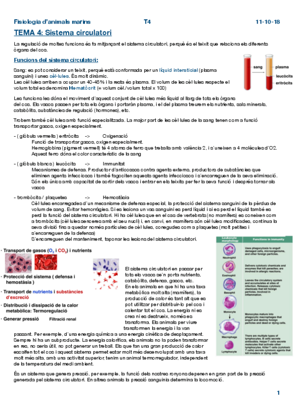 Miniatura del documento Fisio-Tema-4.pdf