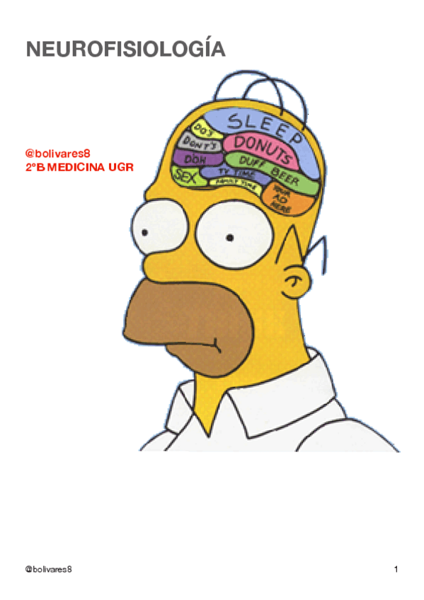 Miniatura del documento Neurofisiologia.pdf