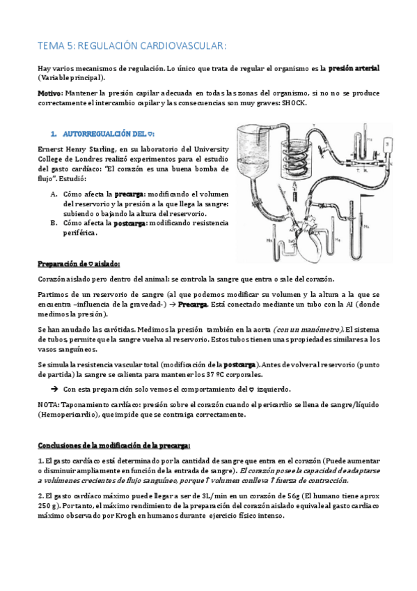 Miniatura del documento TEMA 5.pdf