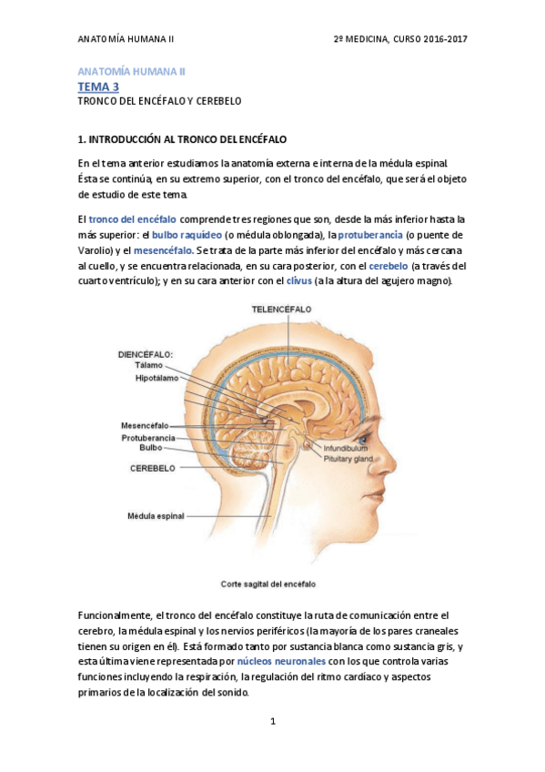 Miniatura del documento TEMA 3 - TRONCO DEL ENCÉFALO.pdf