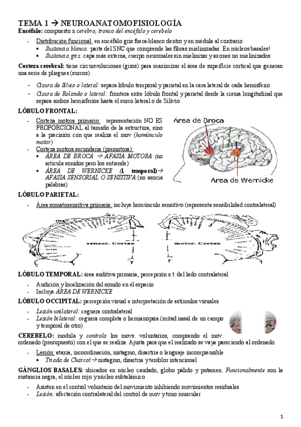 Miniatura del documento METODOS-4.pdf