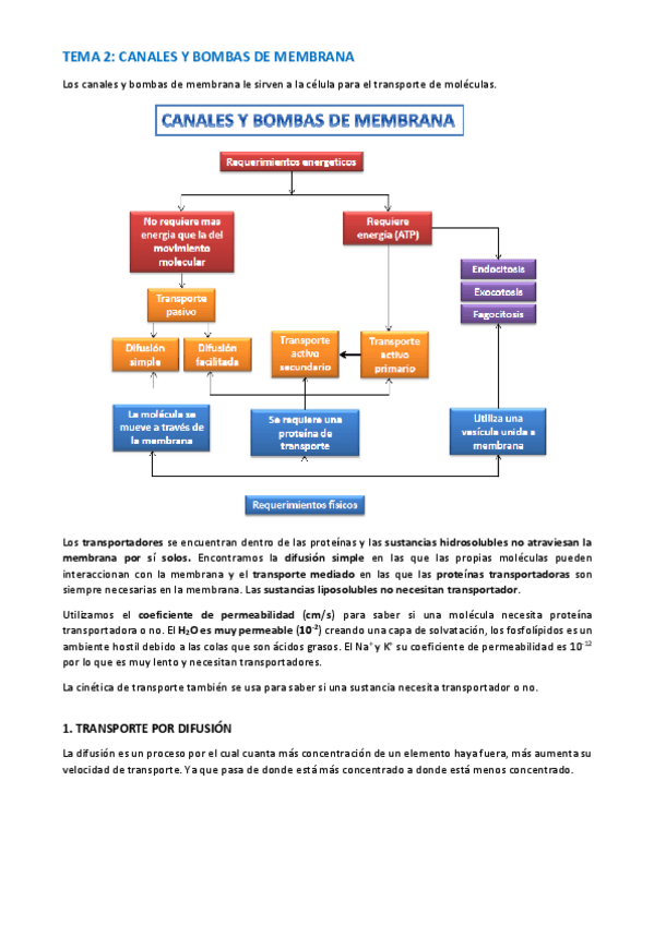 Miniatura del documento TEMA-BIOQUIMICA-6-9.pdf