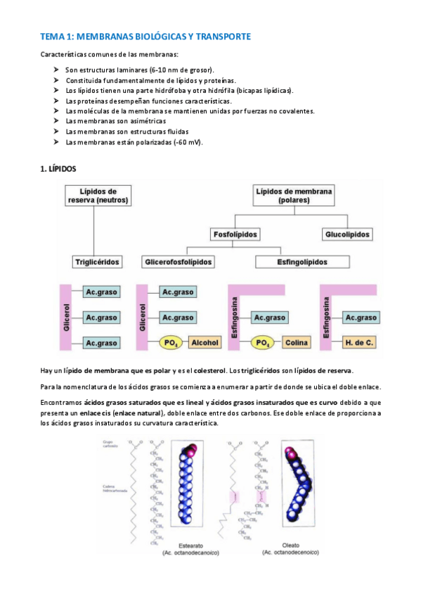 Miniatura del documento TEMA-BIOQUIMICA-1-5.pdf