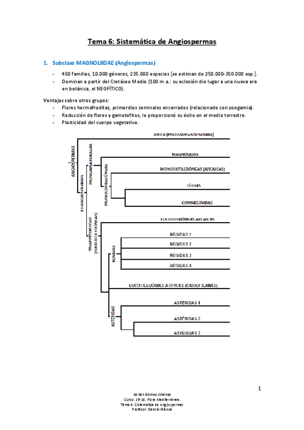 Miniatura del documento Tema 6 - Sistemática de Angiospermas.pdf