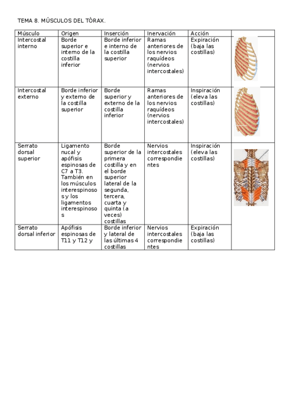 Miniatura del documento Tema-8.docx