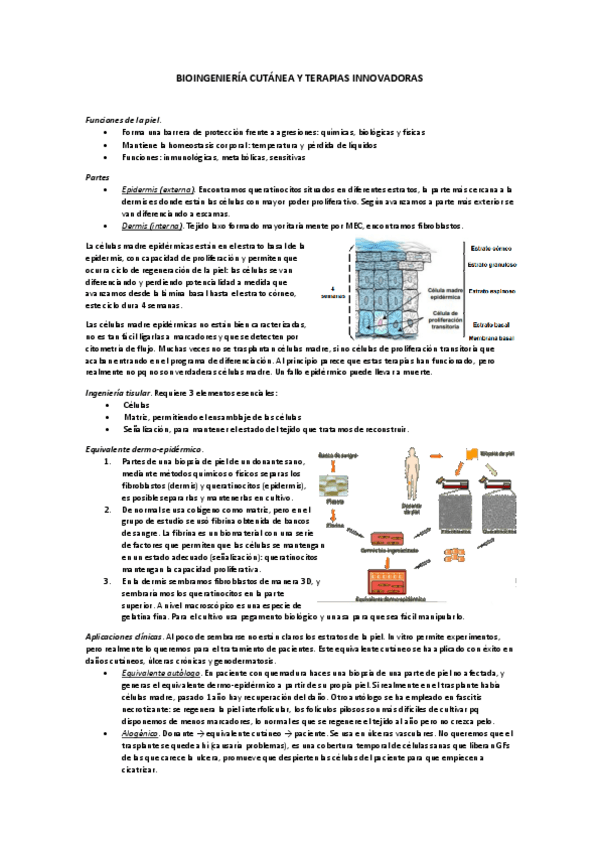 Miniatura del documento 9b-BIOINGENIERIA-CUTANEA-Y-TERAPIAS-INNOVADORAS.pdf
