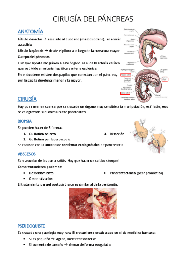Miniatura del documento 17.pdf