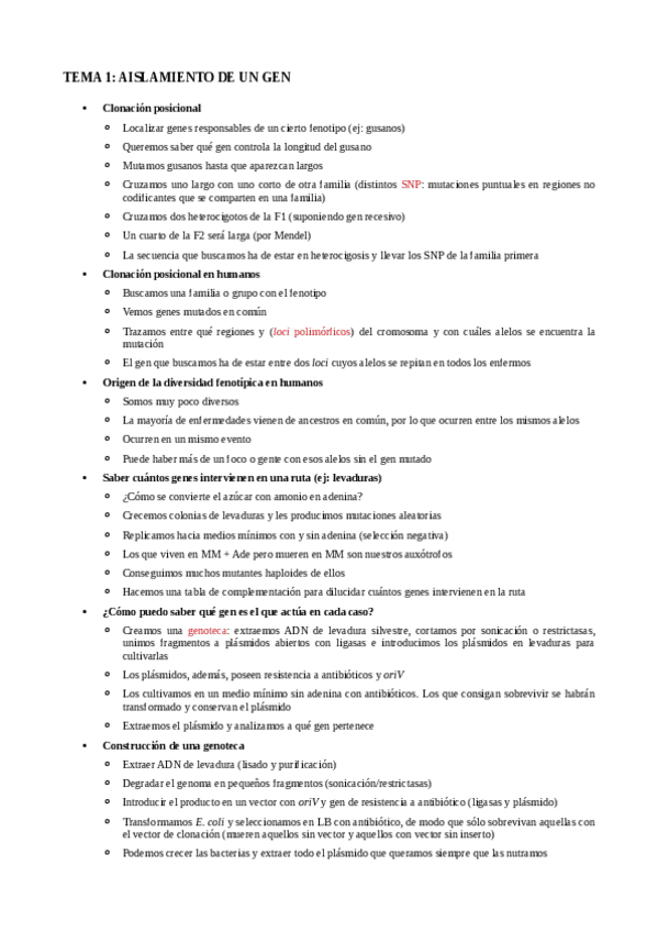 Miniatura del documento RESUMEN-FINAL.pdf
