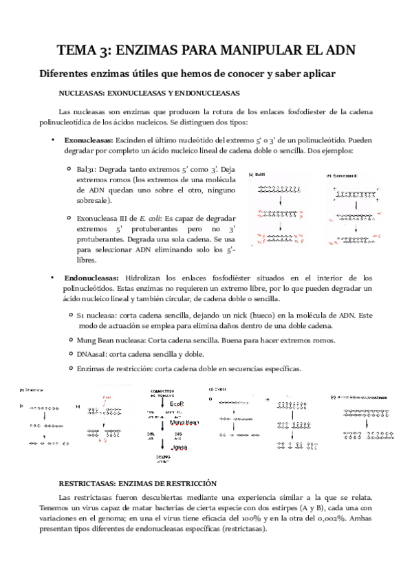 Miniatura del documento TEMA-3.pdf