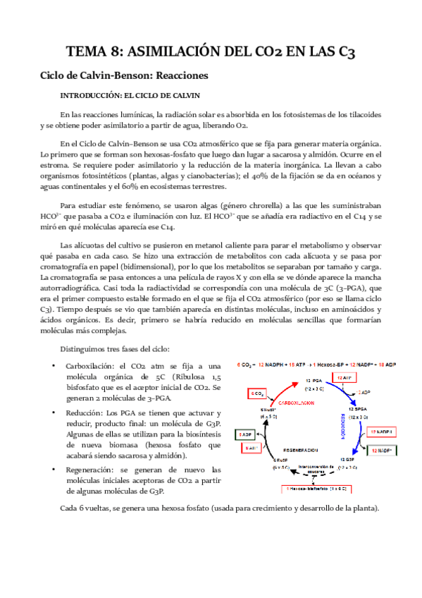 Miniatura del documento TEMA-8.pdf