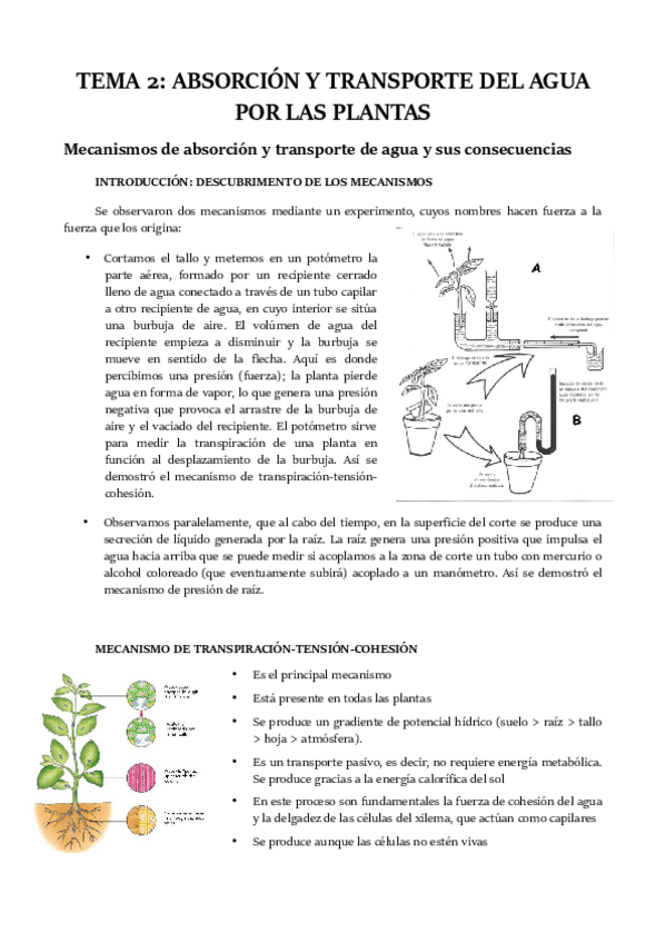 Miniatura del documento TEMA-2.pdf