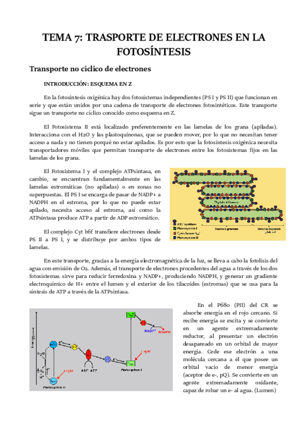 Miniatura del documento TEMA-7.pdf
