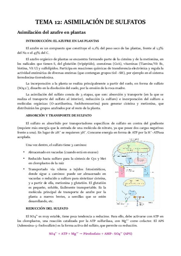 Miniatura del documento TEMA-12.pdf