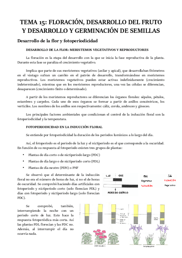 Miniatura del documento TEMA-15.pdf