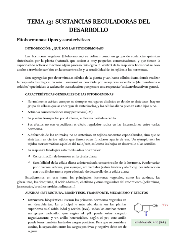 Miniatura del documento TEMA-13.pdf