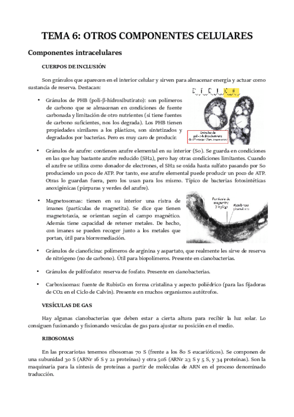 Miniatura del documento TEMA-6.pdf