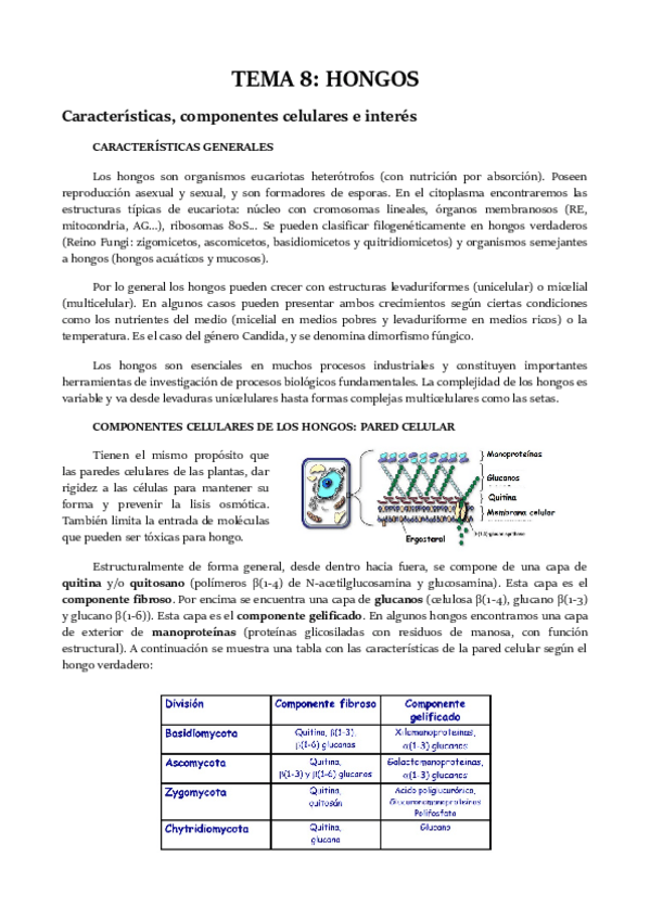 Miniatura del documento TEMA-8.pdf