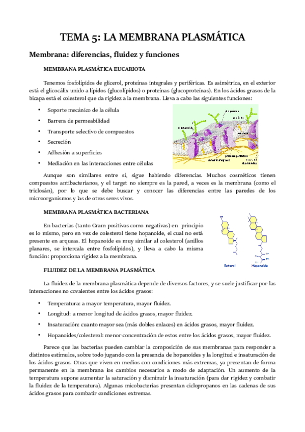 Miniatura del documento TEMA-5.pdf