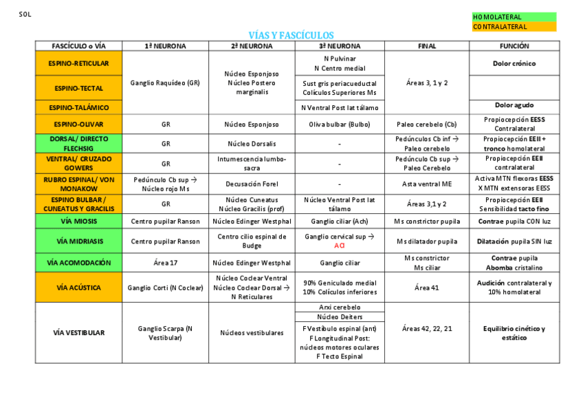 Miniatura del documento Tabla-fasciculos.pdf