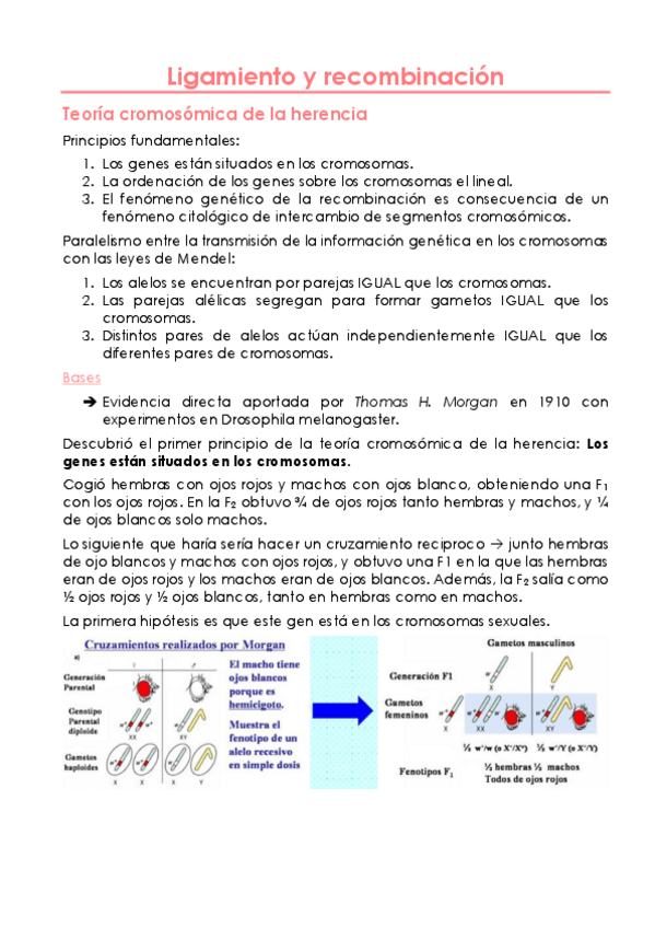 Miniatura del documento 4.pdf
