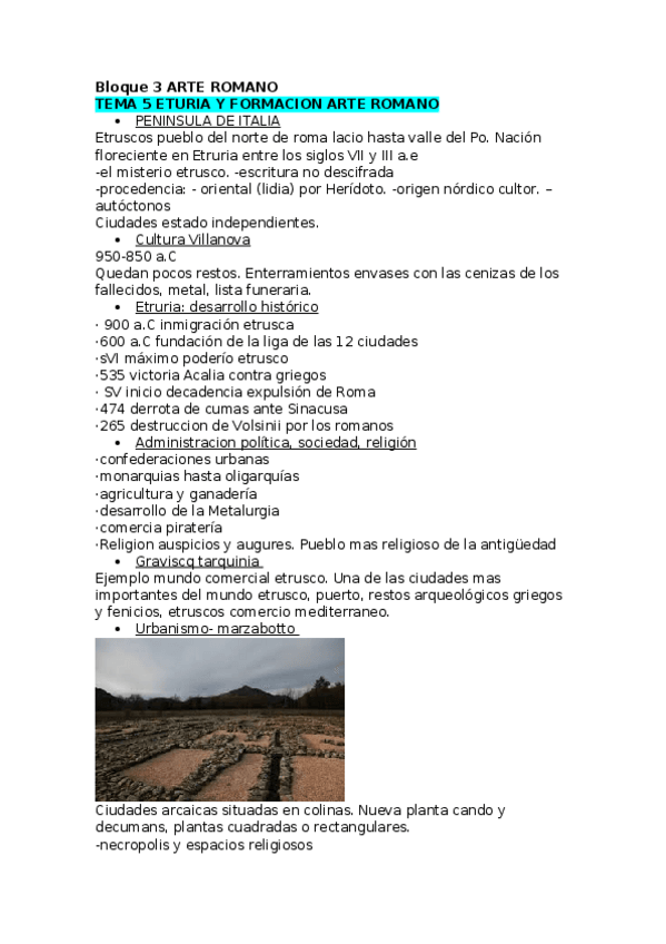 Miniatura del documento arte-romano.docx