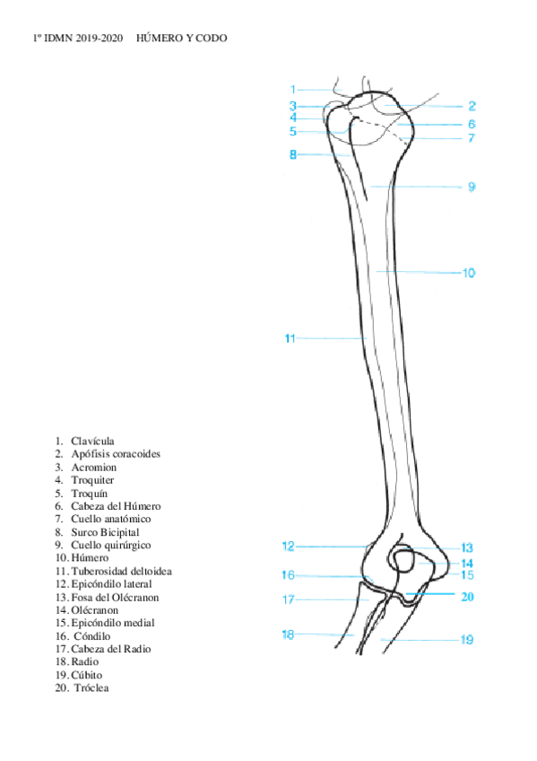 Miniatura del documento 4-Humero-y-codo.pdf