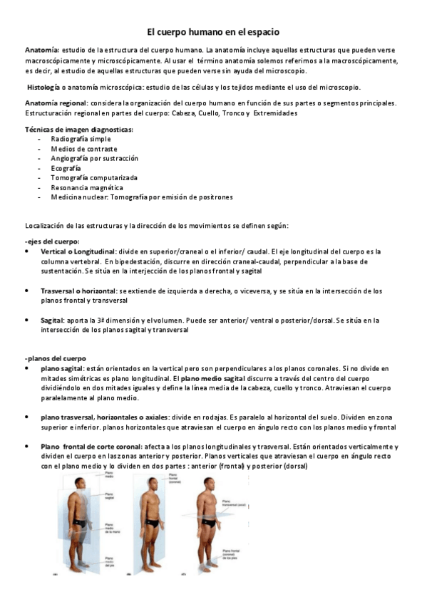 Miniatura del documento temario.pdf