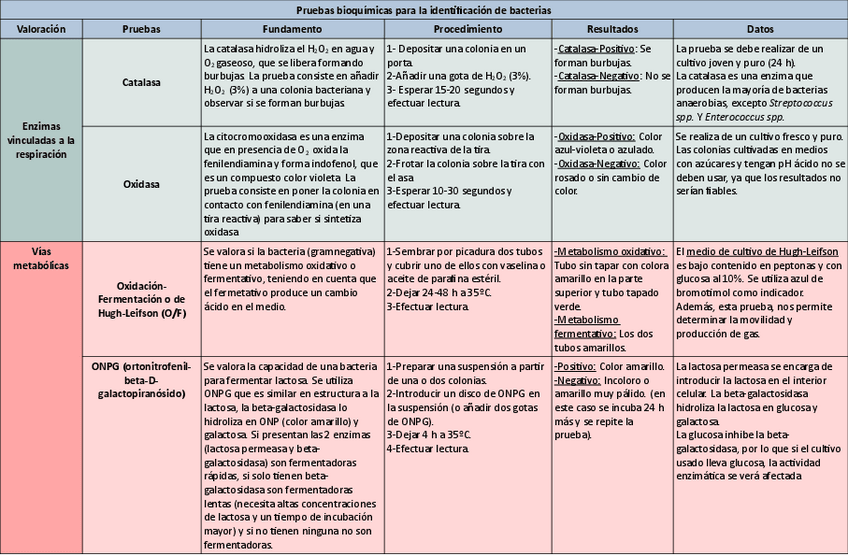 Miniatura del documento Tabla-pruebas-bioquimicas-con-procedimiento.pdf