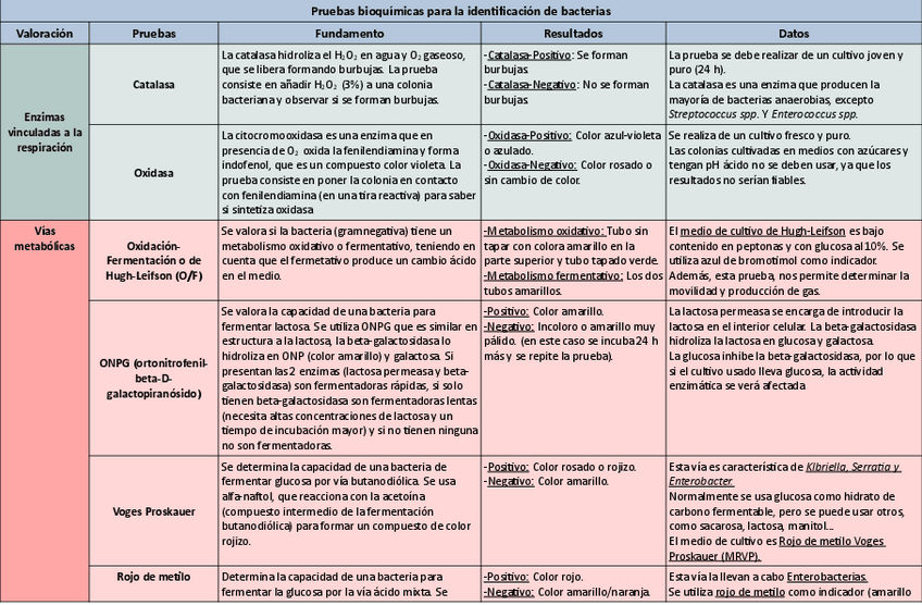 Miniatura del documento Tabla-pruebas-bioquimicas-sin-procedimiento.pdf
