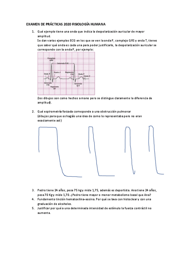 Miniatura del documento Examen-de-practicas-2020.pdf