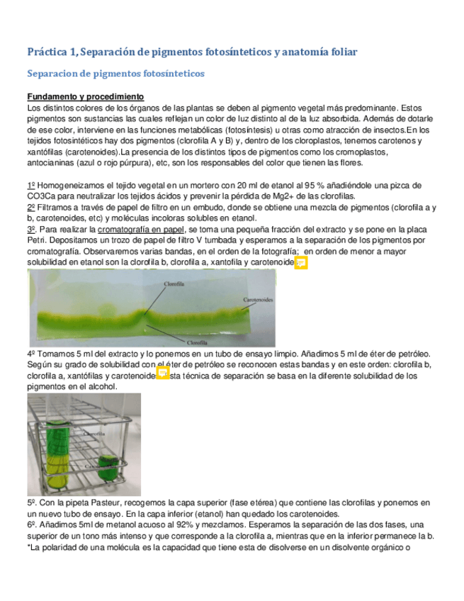 Miniatura del documento Resumen-Examen-Practicas.pdf