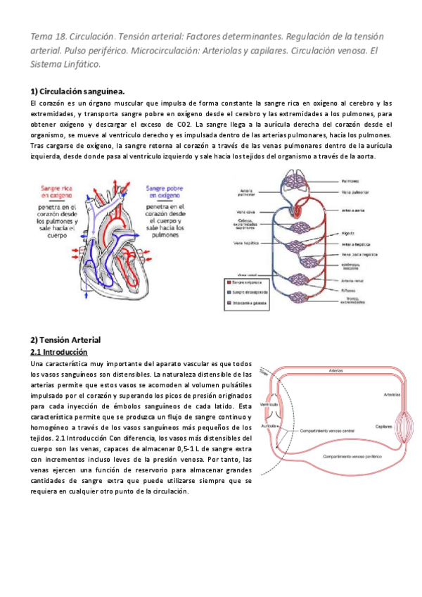 Miniatura del documento Tema-18.pdf