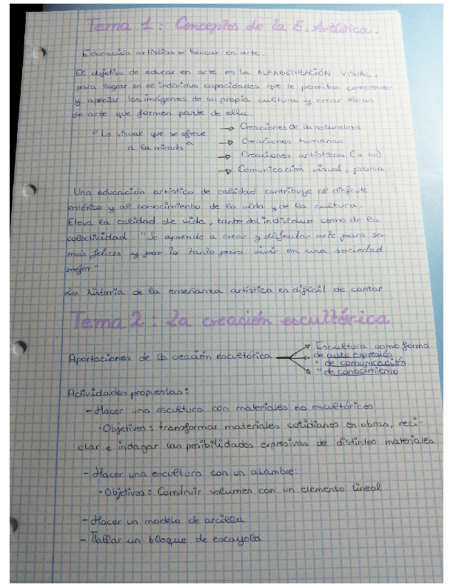 Miniatura del documento TEMARIO-COMPLETO-PLASTICA.pdf