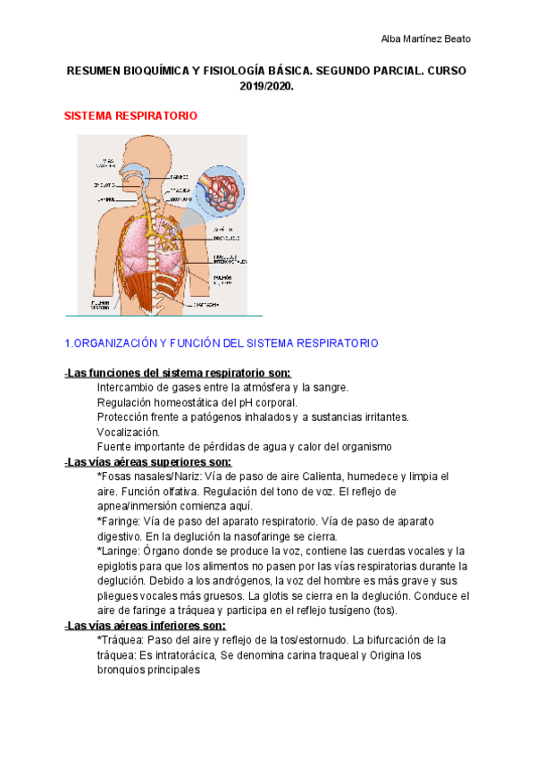 Miniatura del documento RESUMEN-BIOQUIMICA-Y-FISIOLOGIA-BASICA-SEGUNDO-PARCIAL.pdf