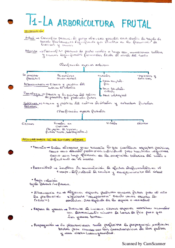 Miniatura del documento Resumenes-1-parcial-lenosos.pdf