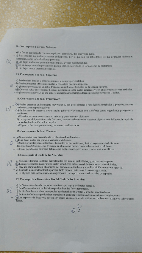 Miniatura del documento 2.jpg