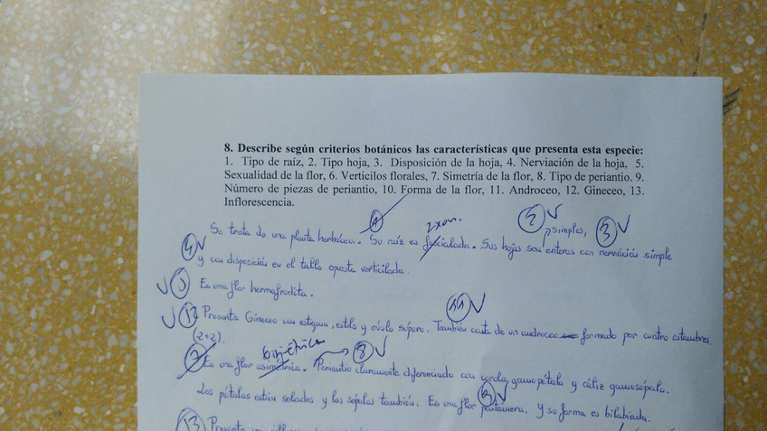 Miniatura del documento 5.jpg