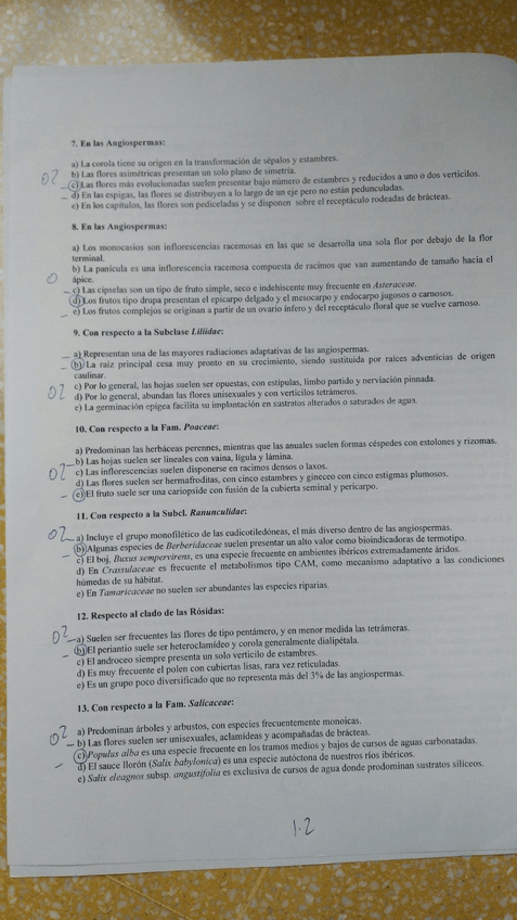 Miniatura del documento 4.jpg