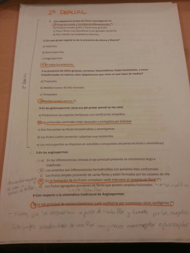 Miniatura del documento 11.jpg