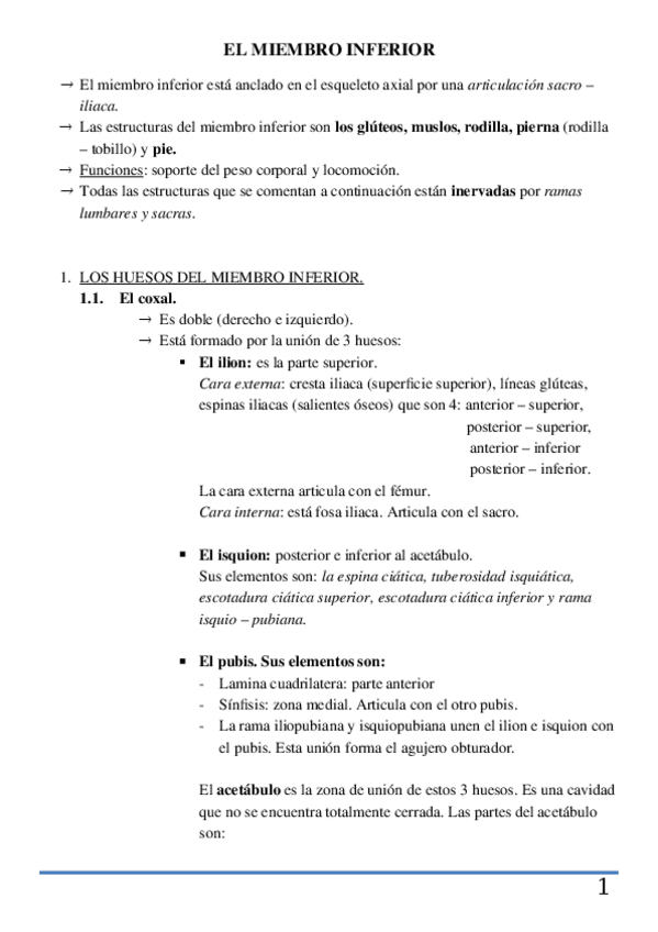 Miniatura del documento MIEMBRO-INFERIOR.docx