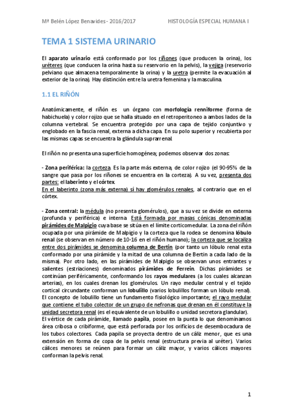 Miniatura del documento Histologia-Especial-Humana-I-Belen-L.pdf