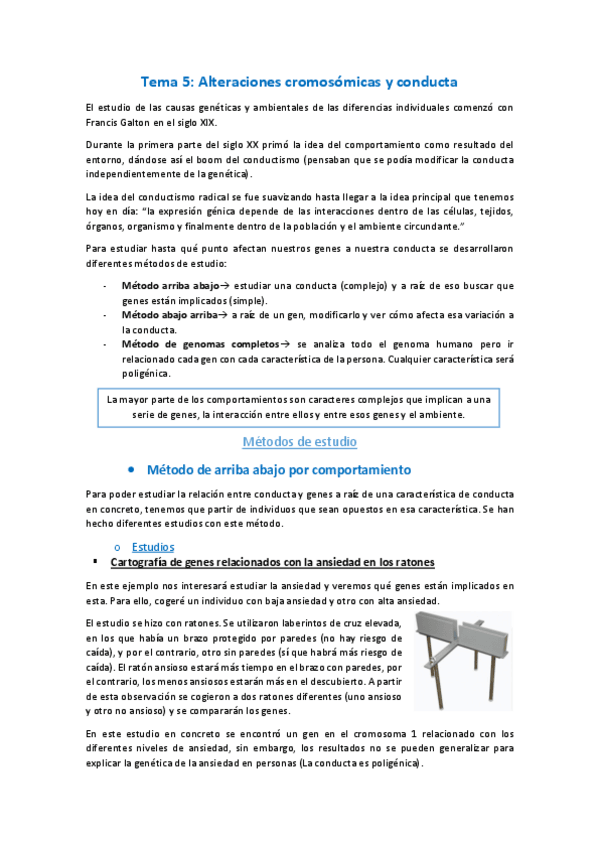 Miniatura del documento 5.pdf